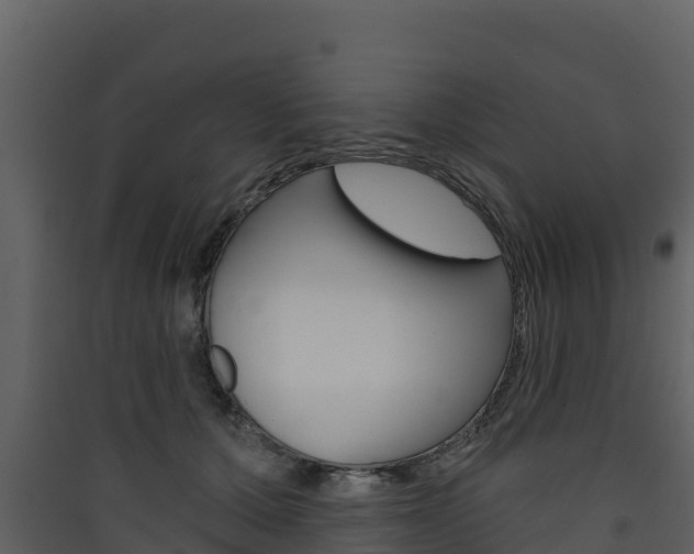 X0000090420607200707130948