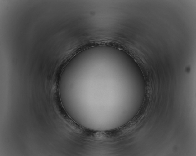 X0000090420608200707130948