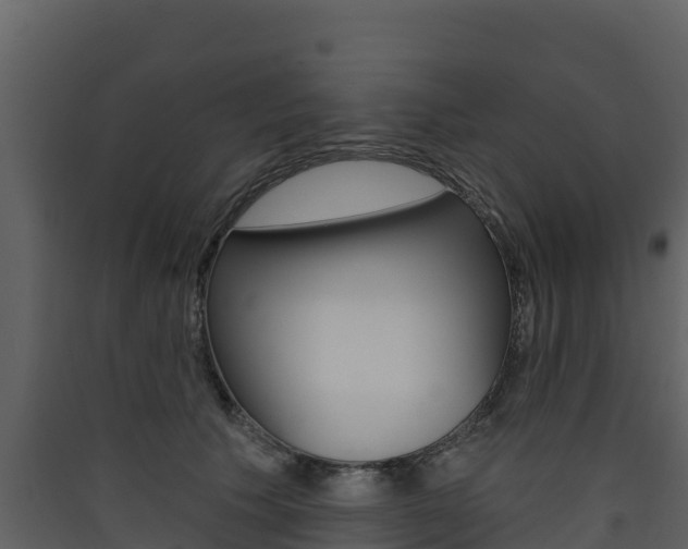 X0000090420609200707130948