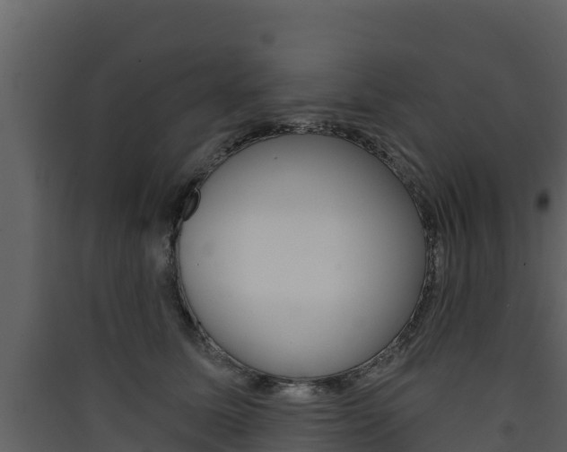 X0000090420611200707130948