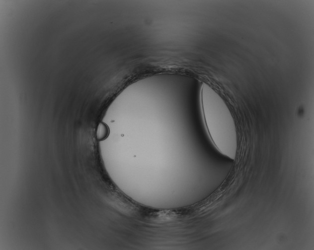 X0000090420612200707130948