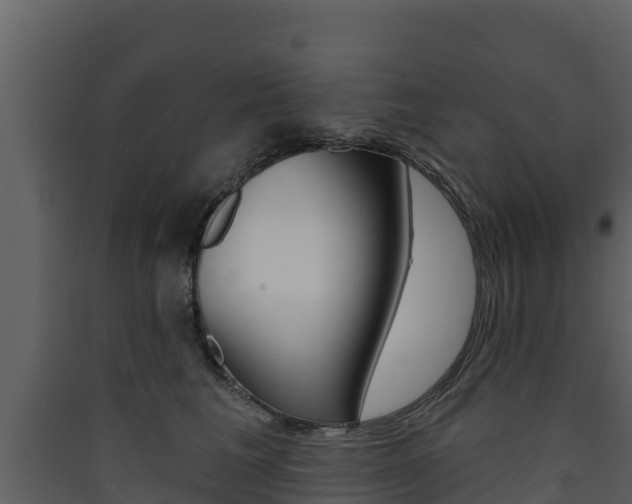 X0000090420613200707130948
