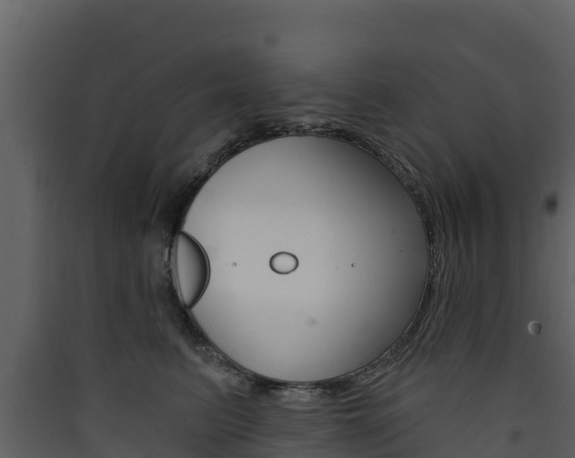 X0000090420615200707130948