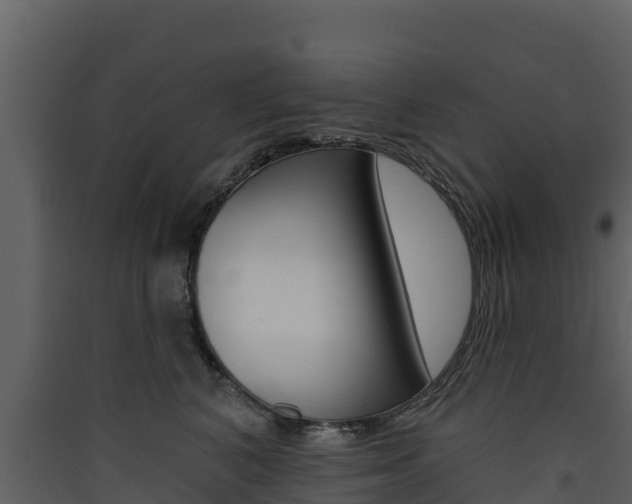 X0000090420616200707130948
