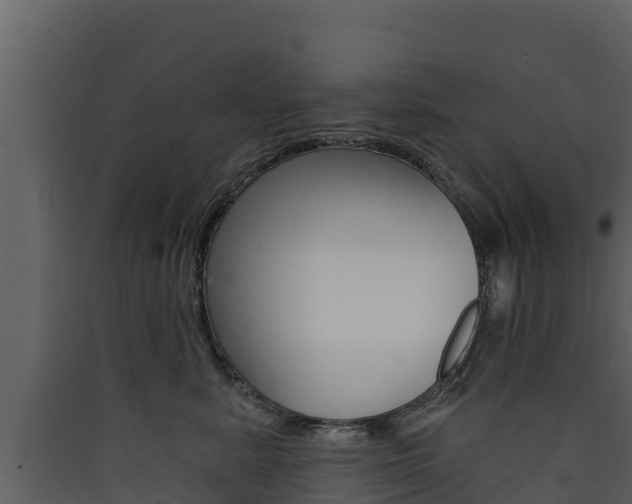 X0000090420619200707130948