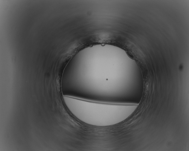 X0000090420620200707130948