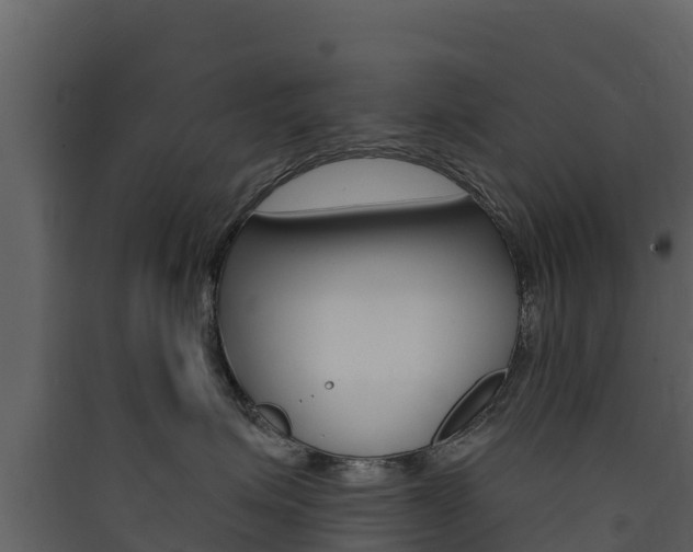 X0000090420623200707130948