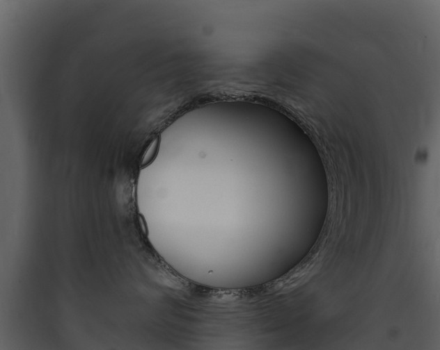 X0000090420624200707130947