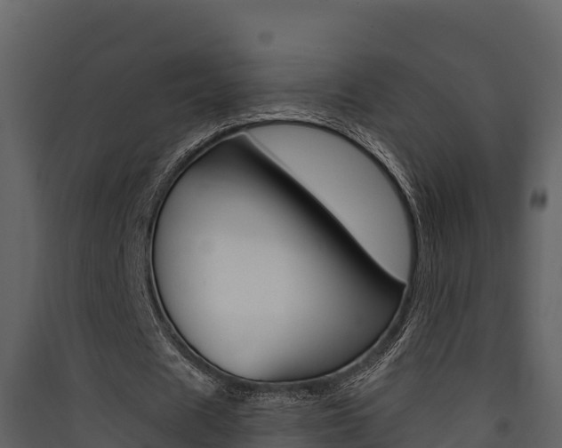 X0000090420625200707130947