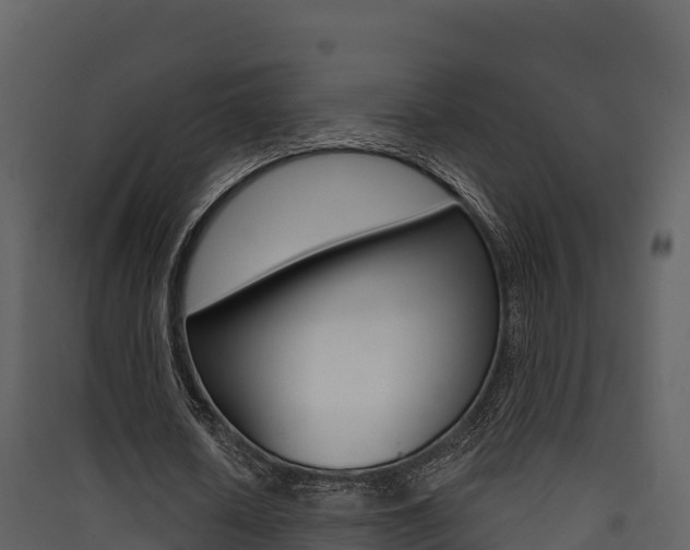 X0000090420626200707130947