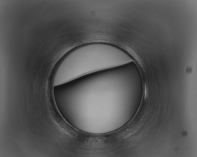 X0000090420627200707130947