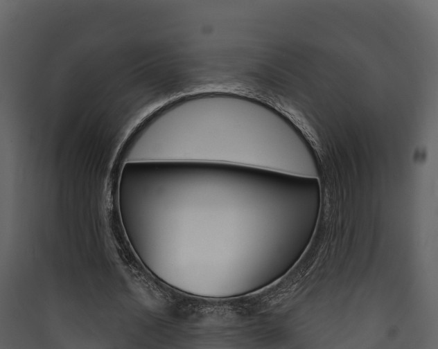 X0000090420628200707130947