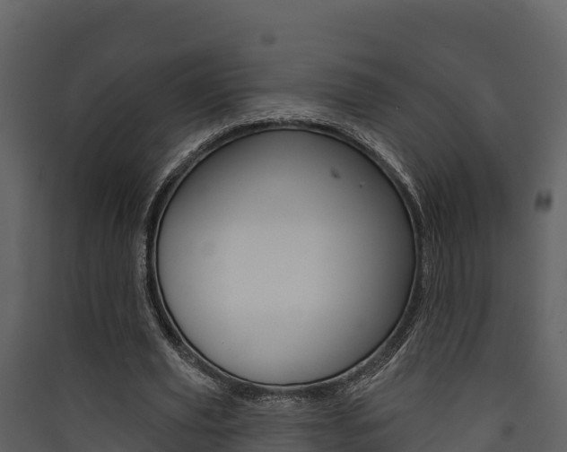 X0000090420629200707130947