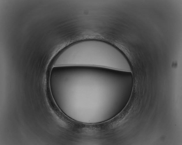 X0000090420630200707130947