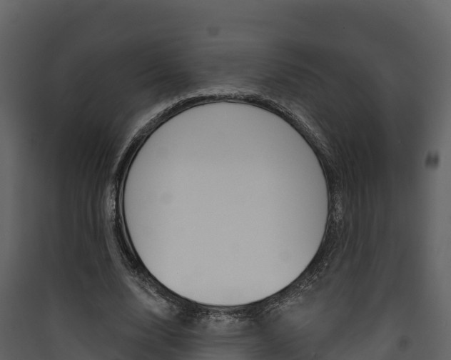 X0000090420632200707130947