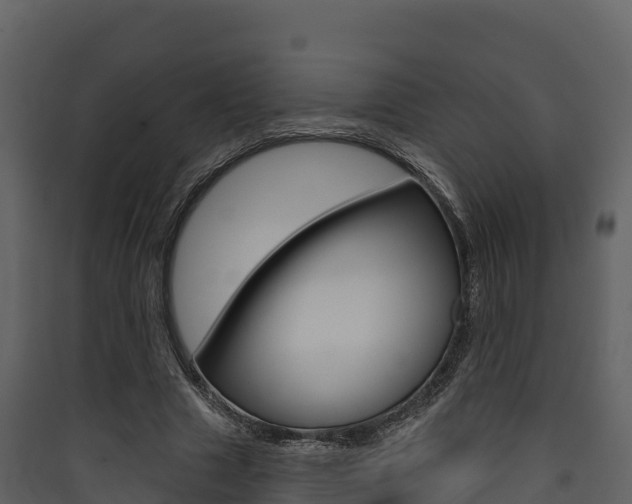 X0000090420633200707130947