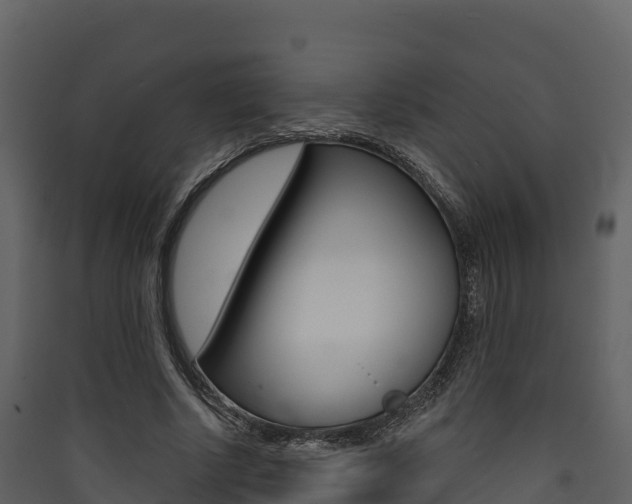 X0000090420634200707130947