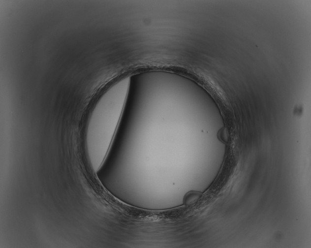 X0000090420635200707130947