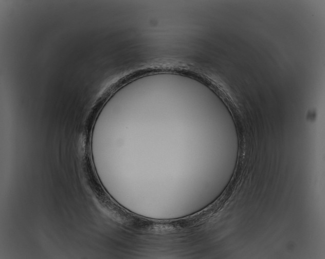 X0000090420636200707130947