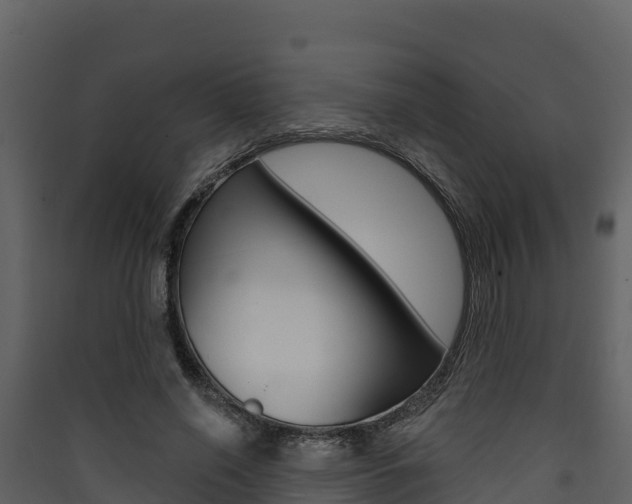 X0000090420638200707130947
