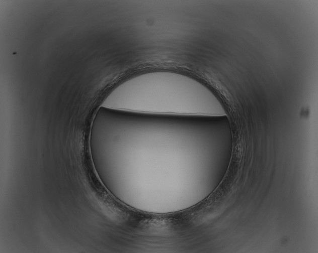 X0000090420639200707130947