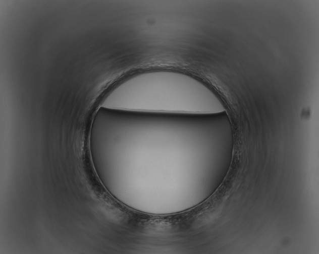 X0000090420640200707130947