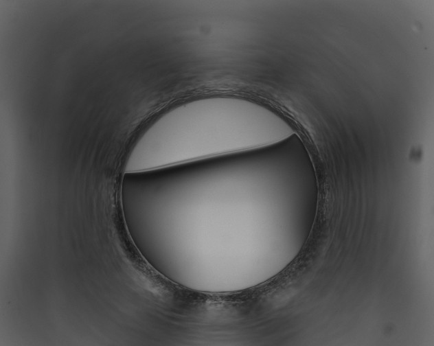 X0000090420641200707130947