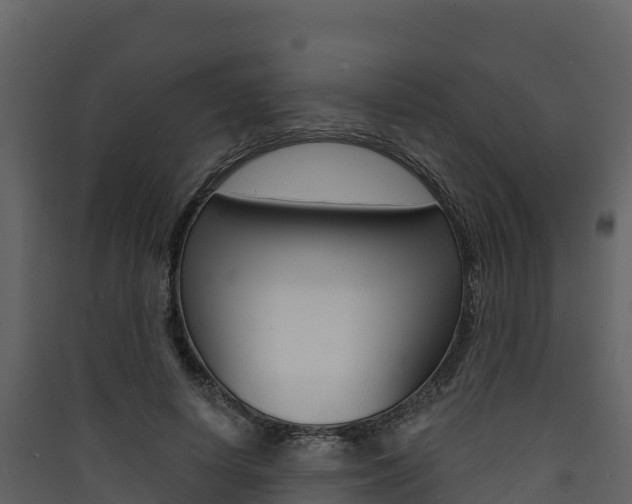 X0000090420642200707130947