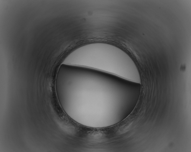 X0000090420643200707130947