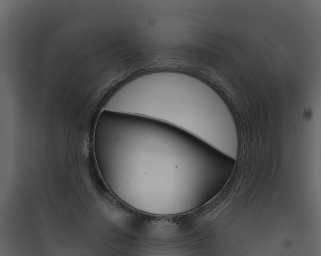 X0000090420644200707130947