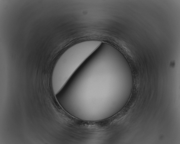 X0000090420645200707130947