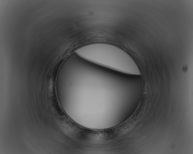X0000090420646200707130947