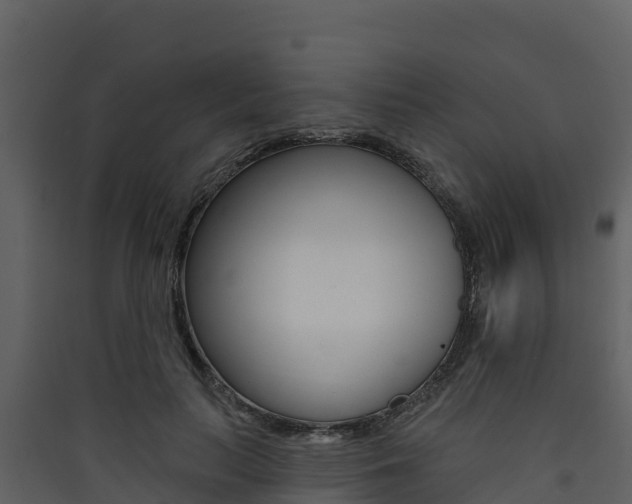 X0000090420647200707130947