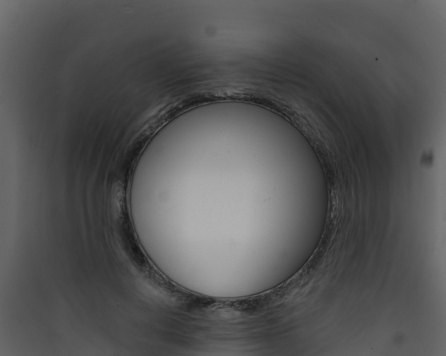 X0000090420648200707130947