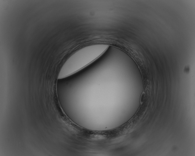 X0000090420649200707130947