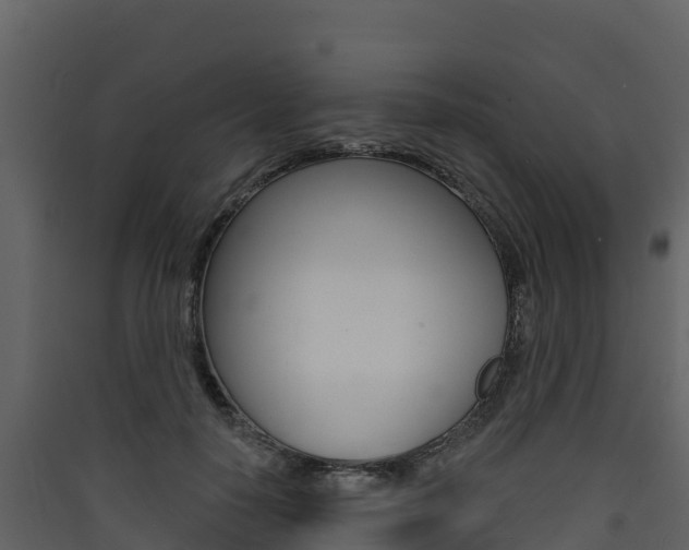 X0000090420650200707130947