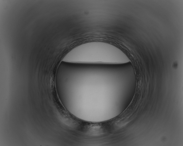 X0000090420651200707130947