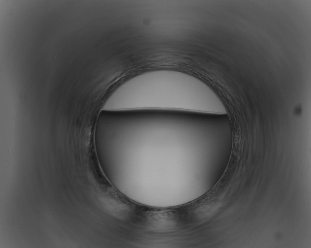 X0000090420652200707130947
