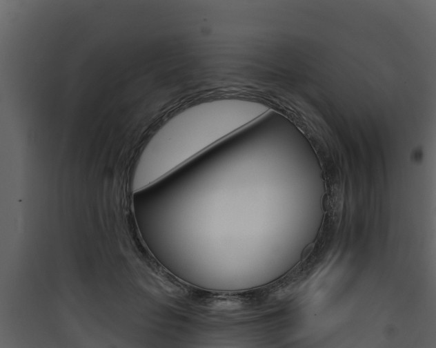 X0000090420653200707130947