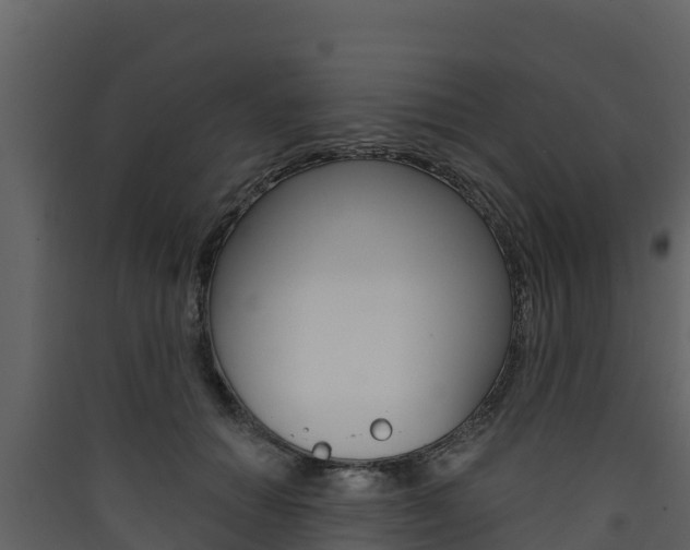 X0000090420654200707130947