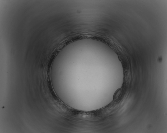 X0000090420655200707130947