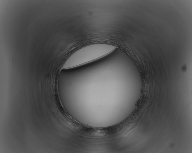 X0000090420656200707130947