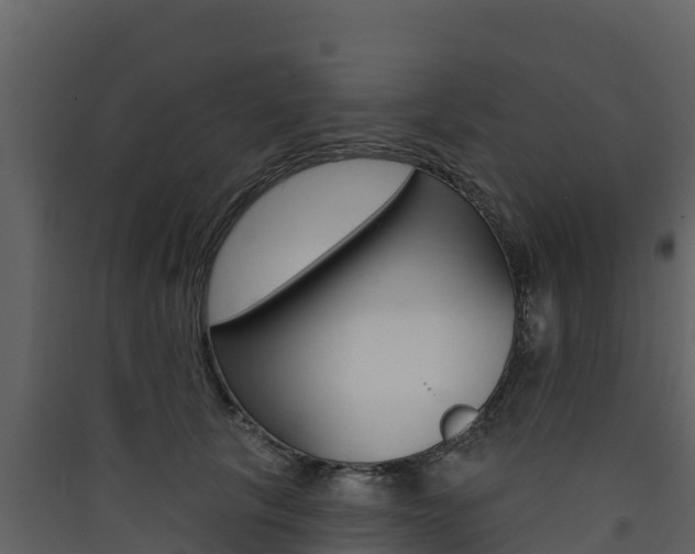 X0000090420657200707130947