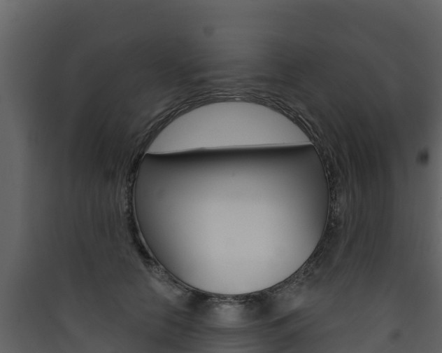 X0000090420658200707130947