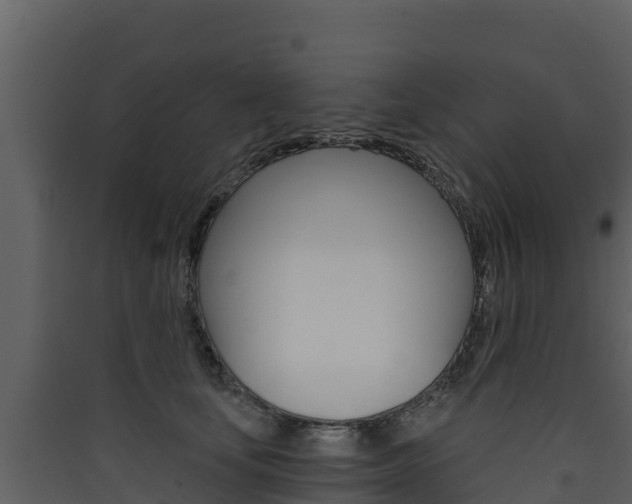 X0000090420659200707130947