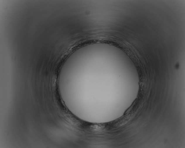 X0000090420660200707130947