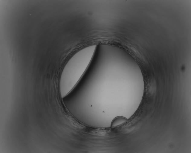 X0000090420661200707130947