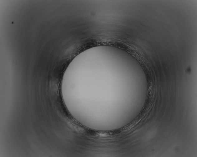 X0000090420662200707130947
