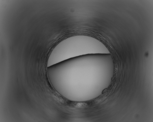 X0000090420663200707130947
