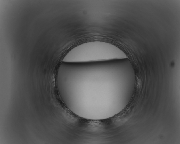 X0000090420666200707130947